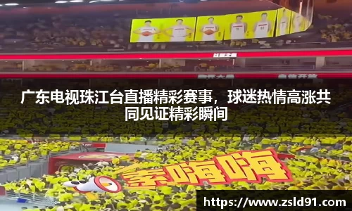 广东电视珠江台直播精彩赛事，球迷热情高涨共同见证精彩瞬间