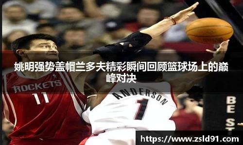 姚明强势盖帽兰多夫精彩瞬间回顾篮球场上的巅峰对决